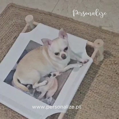 Cama para cão/gato com fotografia