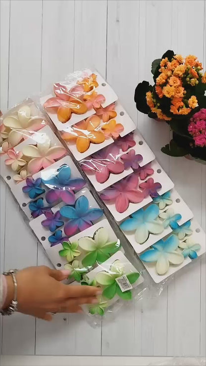 Conjunto mola cabelo "Summer"
