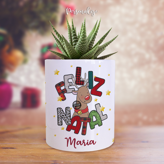 Vaso com suculenta "Rena"